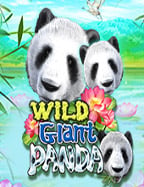 โร ม่า เครดิต ฟรี ทดลองเล่น สนุกไม่ซ้ำใคร