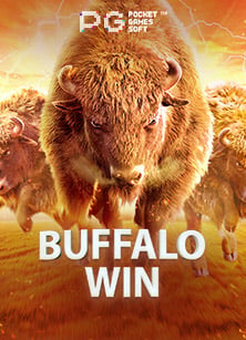 แนะนำ sbobet24hr มือ ถือ เล่นง่าย สบายใจ